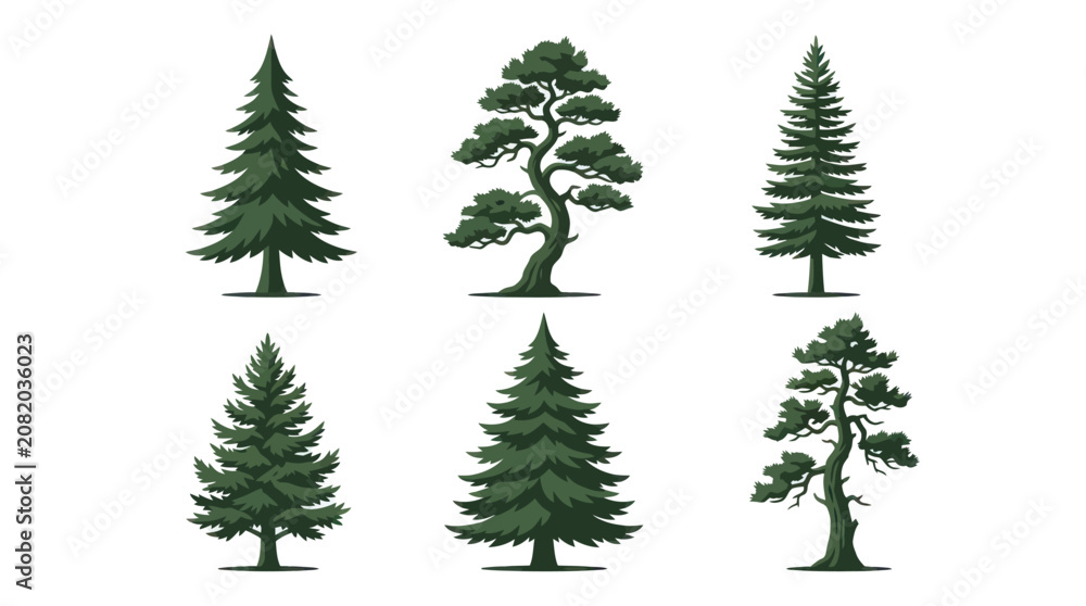 Obraz premium Assortment of evergreen trees