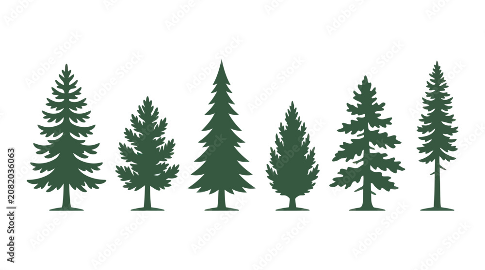 Obraz premium Assorted evergreen tree silhouettes