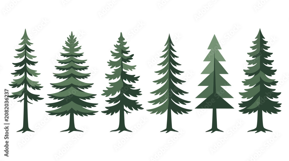 Fototapeta premium Assortment of evergreen trees
