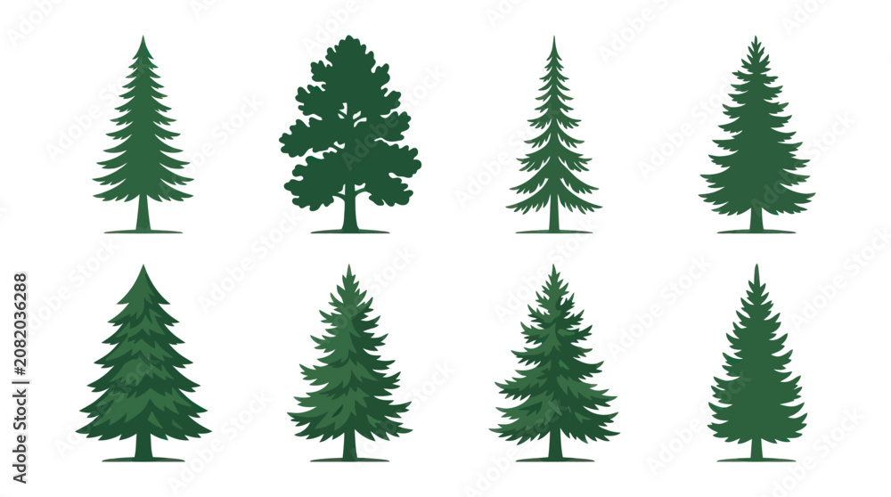 Fototapeta premium Collection of evergreen tree illustrations