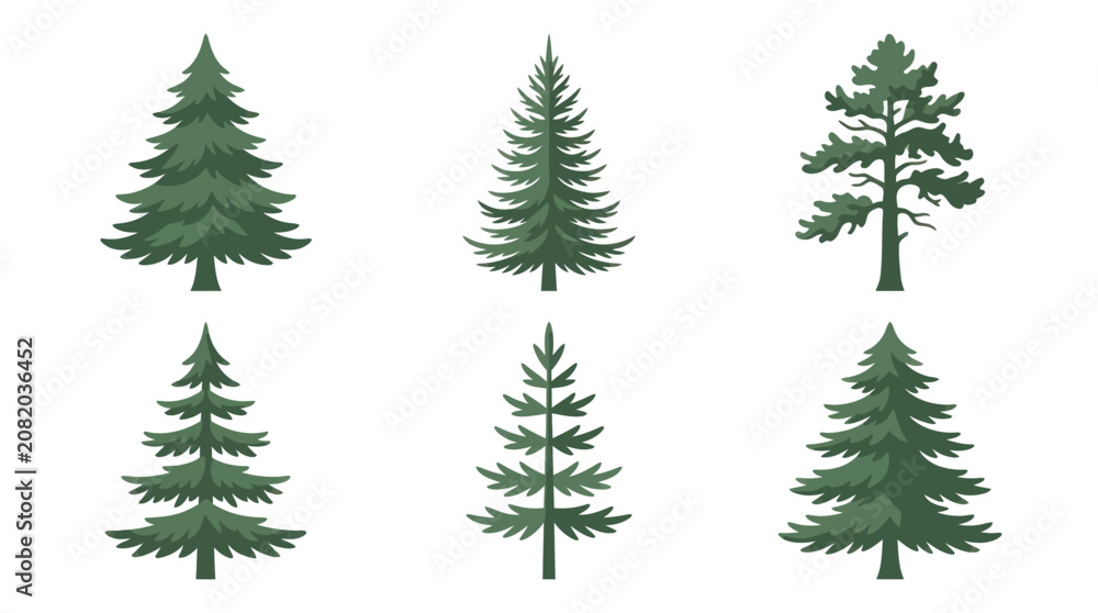 Obraz premium Collection of evergreen tree illustrations