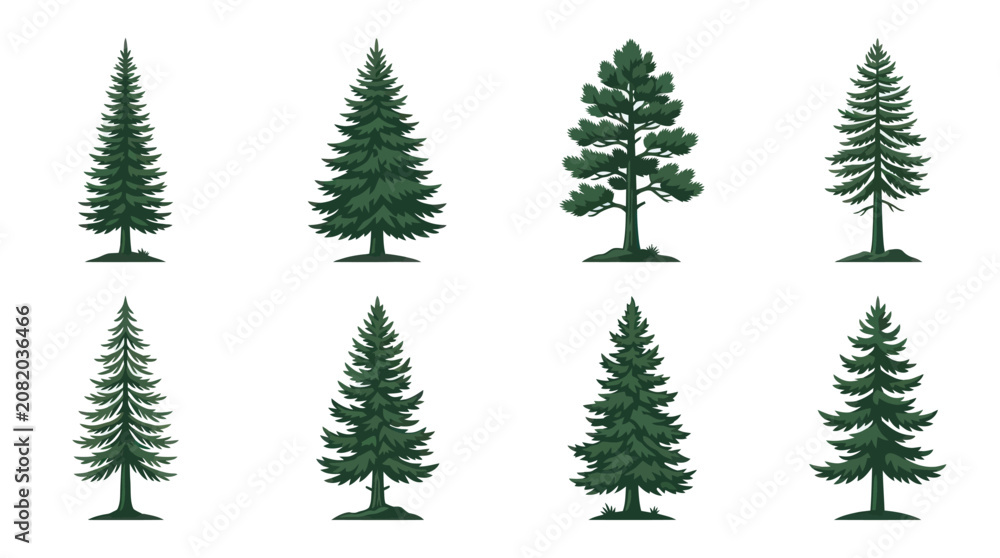 Obraz premium Collection of evergreen tree illustrations