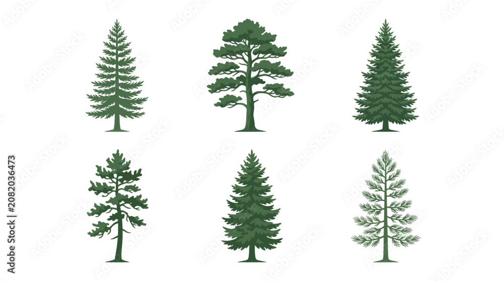 Fototapeta premium Assortment of evergreen trees illustration