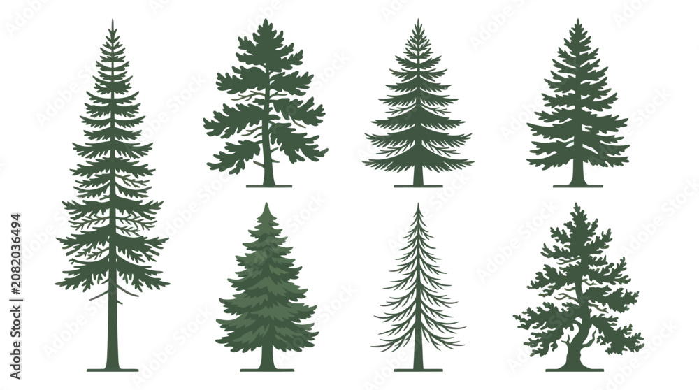 Fototapeta premium Collection of evergreen tree illustrations