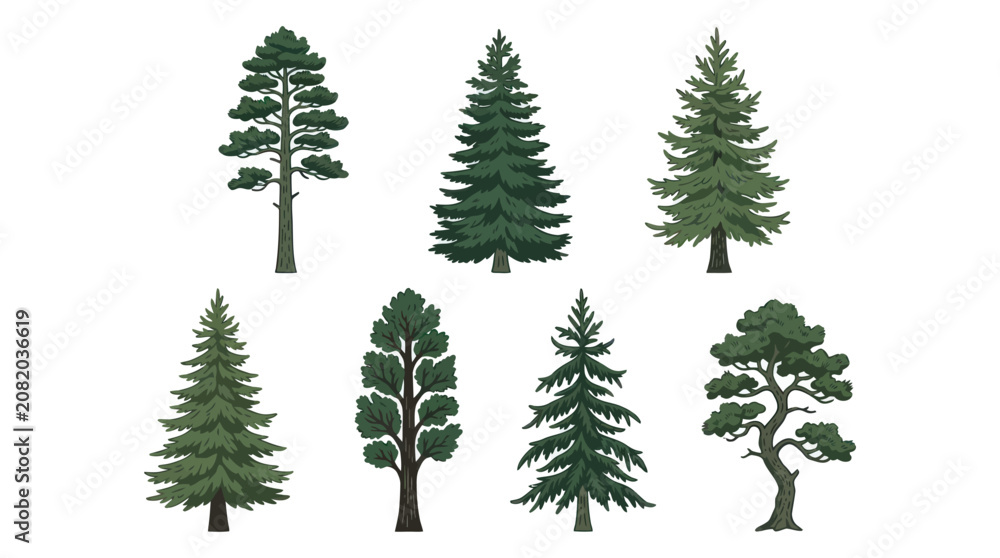 Obraz premium Collection of diverse evergreen trees
