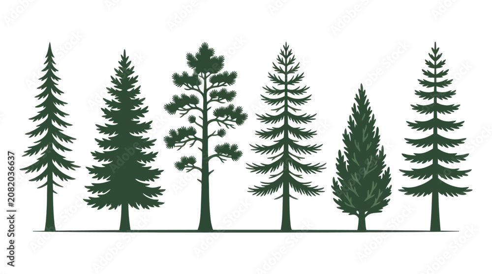 Obraz premium Assortment of evergreen trees silhouette