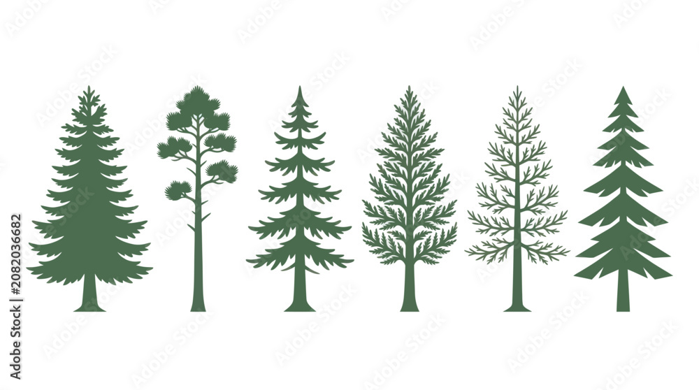 Obraz premium Assortment of evergreen trees silhouettes