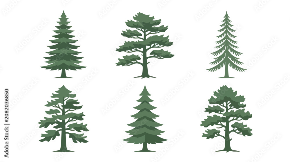 Obraz premium Collection of evergreen tree illustrations
