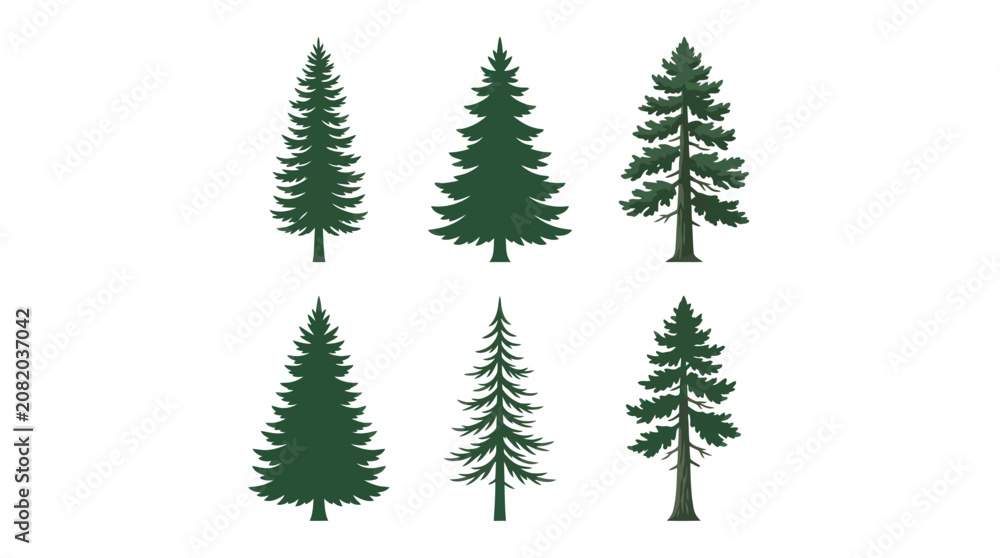 Obraz premium Collection of evergreen tree silhouettes