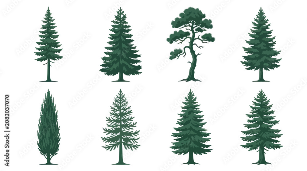 Obraz premium Collection of evergreen tree illustrations