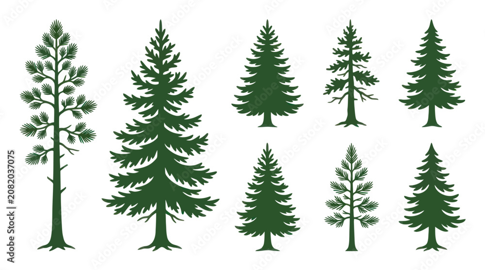 Obraz premium Collection of evergreen tree silhouettes