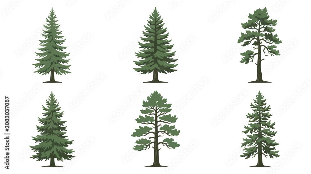 Obraz premium Collection of evergreen tree illustrations