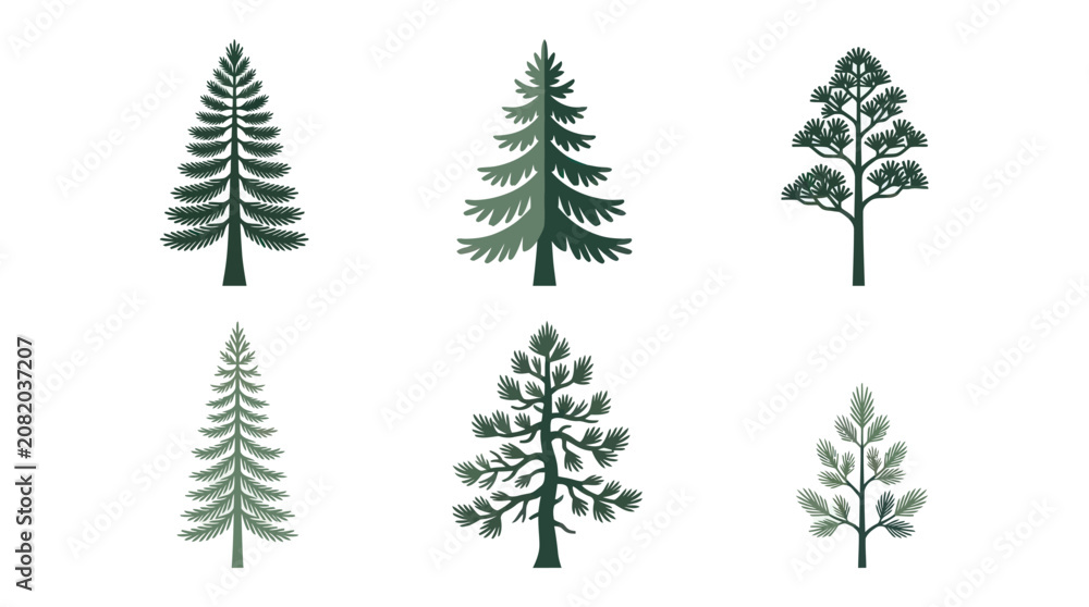 Fototapeta premium Collection of evergreen tree illustrations