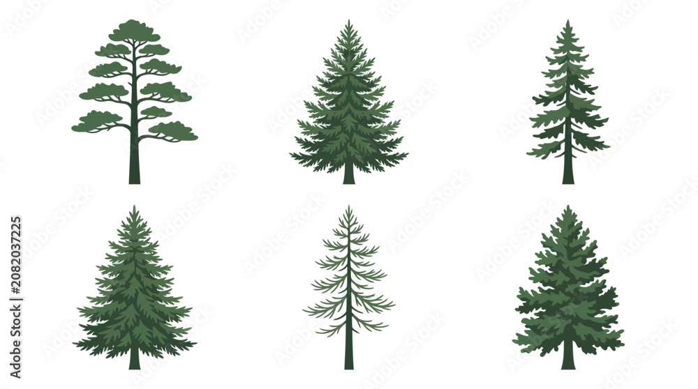 Obraz premium Collection of evergreen tree illustrations