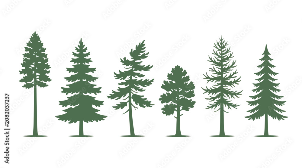 Obraz premium Collection of evergreen tree silhouettes
