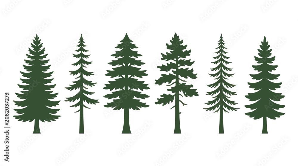 Obraz premium Collection of evergreen tree silhouettes