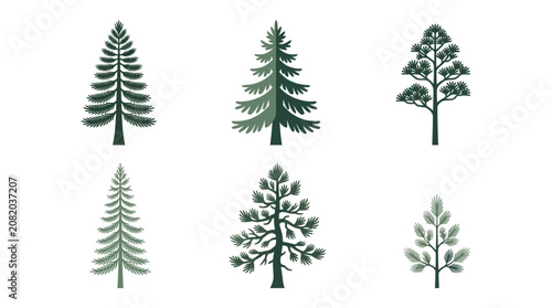 Collection of evergreen tree illustrations