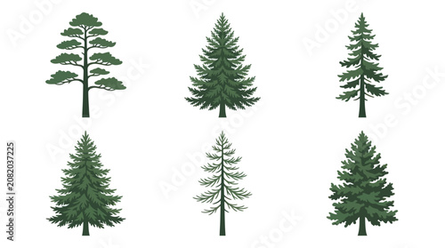 Collection of evergreen tree illustrations