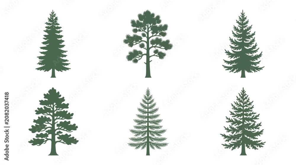 Obraz premium Collection of evergreen tree silhouettes