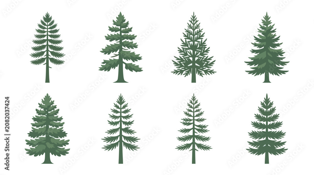 Obraz premium Collection of evergreen tree illustrations