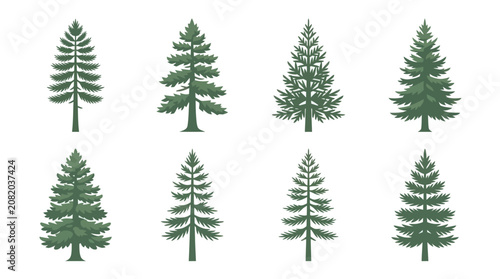 Collection of evergreen tree illustrations