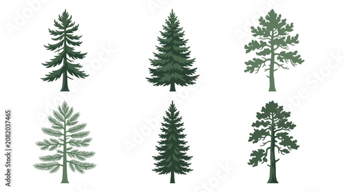 Collection of evergreen tree illustrations