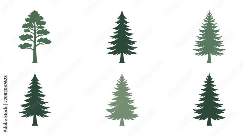 Fototapeta premium Collection of evergreen tree silhouettes