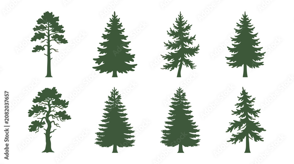 Obraz premium Collection of evergreen tree silhouettes