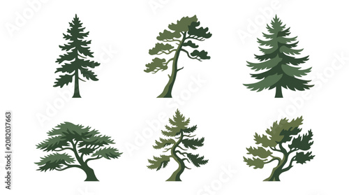 Collection of evergreen tree illustrations