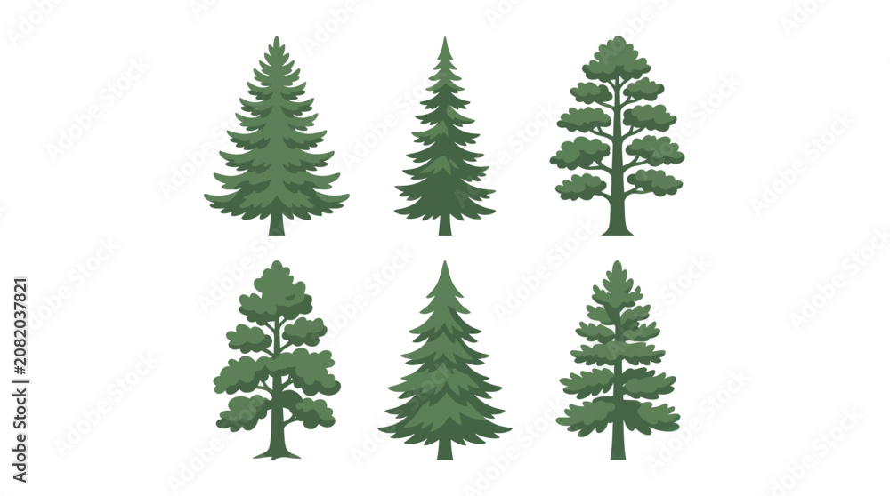 Fototapeta premium Collection of evergreen tree illustrations