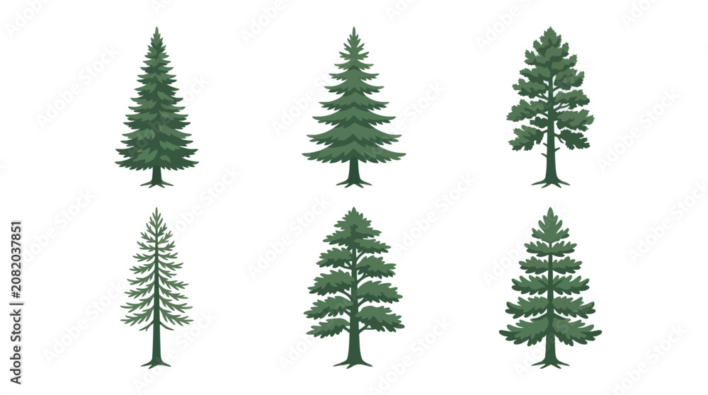 Fototapeta premium Collection of evergreen tree illustrations