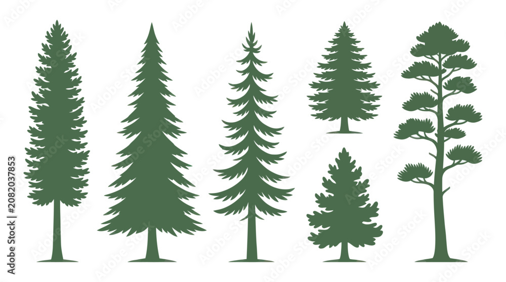 Obraz premium Collection of evergreen tree silhouettes