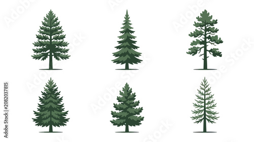 Collection of evergreen tree illustrations