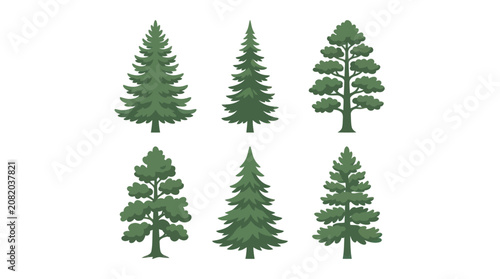 Collection of evergreen tree illustrations