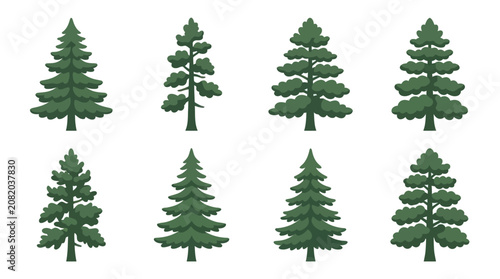 Collection of evergreen tree illustrations