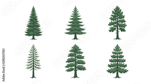 Collection of evergreen tree illustrations
