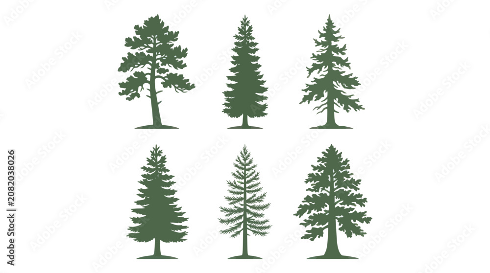 Obraz premium Collection of evergreen tree silhouettes