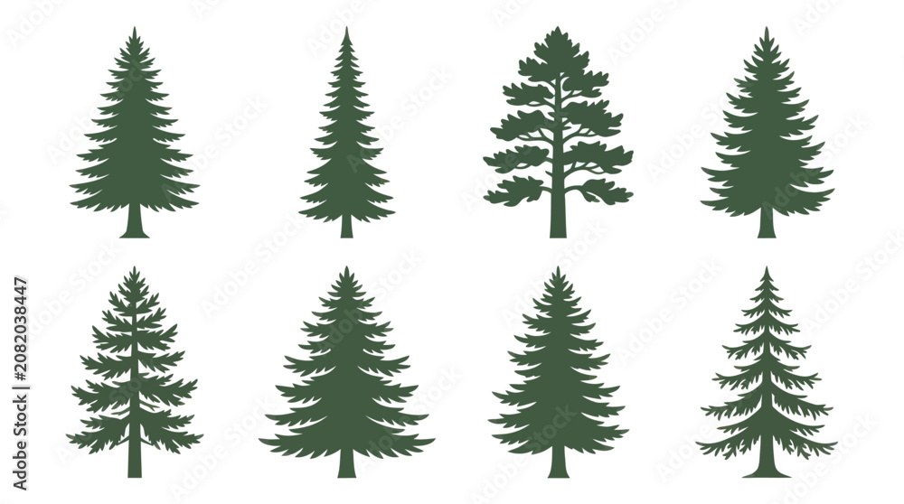 Obraz premium Collection of evergreen tree silhouettes