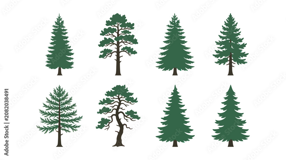 Obraz premium Collection of evergreen tree silhouettes