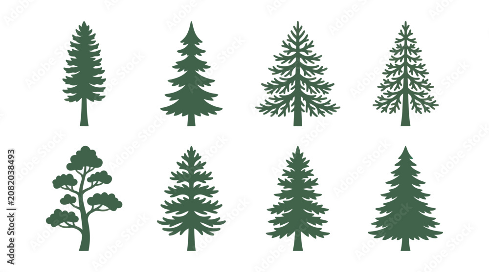 Obraz premium Collection of evergreen tree silhouettes