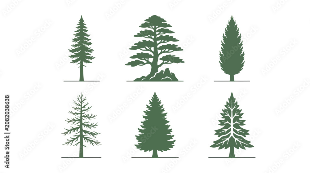 Obraz premium Collection of evergreen tree silhouettes