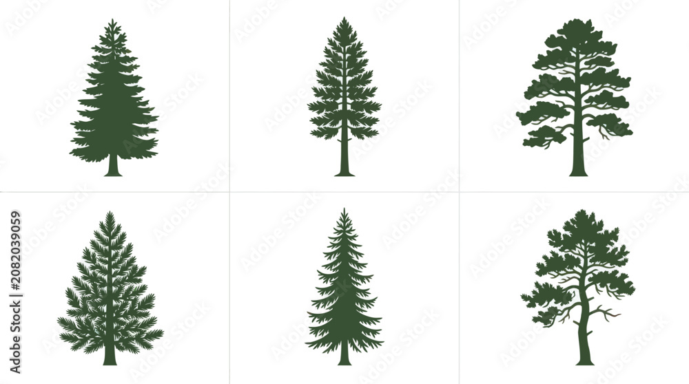 Fototapeta premium Collection of evergreen tree silhouettes