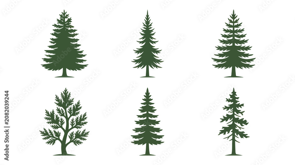 Obraz premium Collection of evergreen tree silhouettes