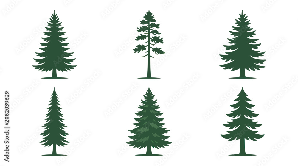 Obraz premium Collection of evergreen trees