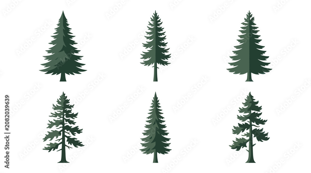 Obraz premium Collection of evergreen trees