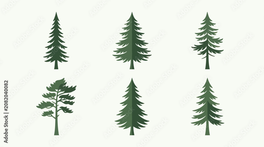 Obraz premium Collection of evergreen trees