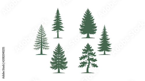 Collection of evergreen trees
