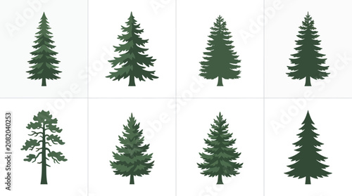 Collection of evergreen trees