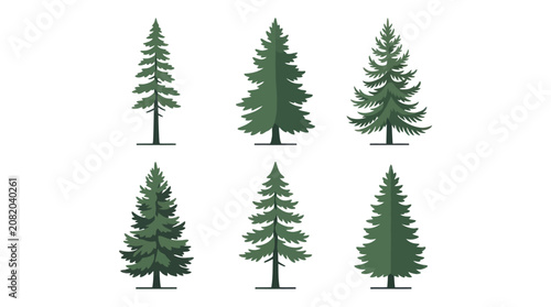 Collection of evergreen trees