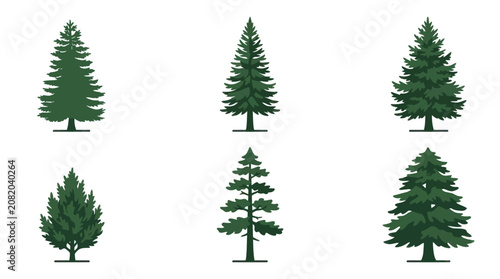 Collection of evergreen trees